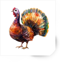 Thumbnail for Watercolor Turkey Sticker | Colorful Thanksgiving Bird Vinyl Decal | Fall Autumn Gift