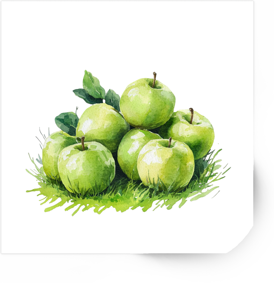 Green Apples Sticker | Watercolor Fruit Vinyl Decal | Kitchen Foodie Gift